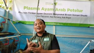 Nur Imam, spesialis pendamping program plama ayam Arab petelur