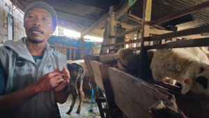 Program Jantara Dompet Dhuafa berdayakan peternak lokal