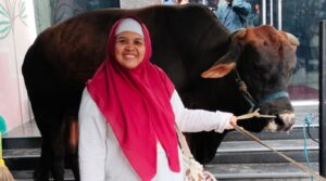 Salah satu sapi Kurban Dompet Dhuafa 2026